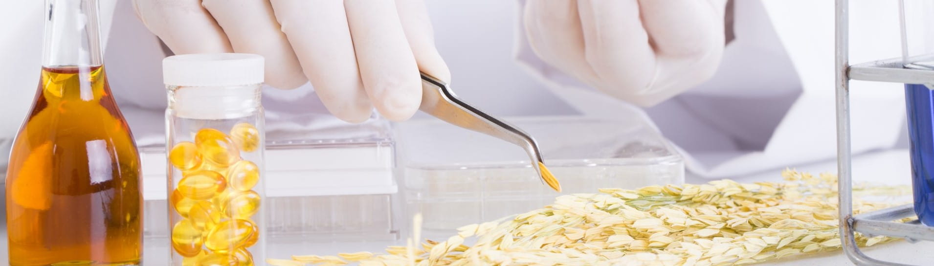 Raw Rice Inspection Rice Quality Testing for Exports | TÜV SÜD in India