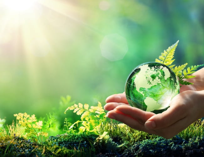 Formación en medio ambiente y sostenibilidad