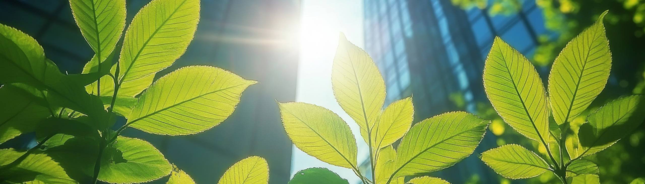 Análisis del Ciclo de Vida (ACV) en edificios 