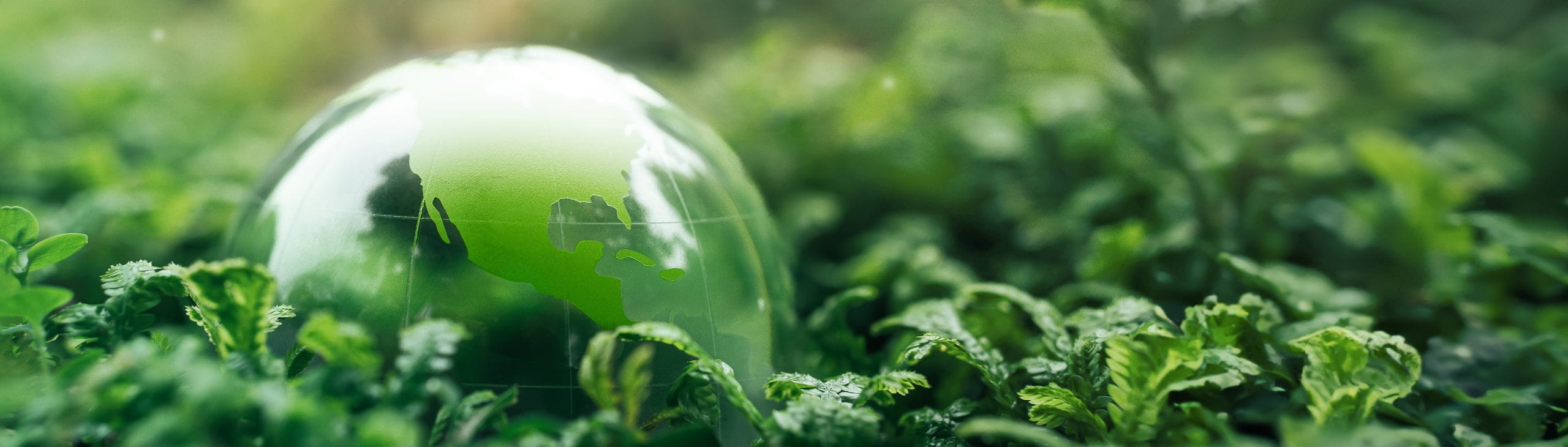 Estándares para alcanzar la neutralidad climática