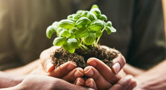 Normas ISO y Cambio climático