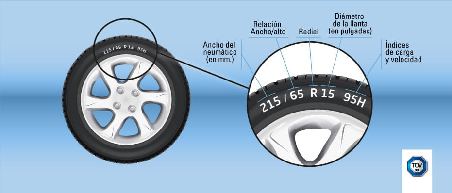 equivalencia neumaticos