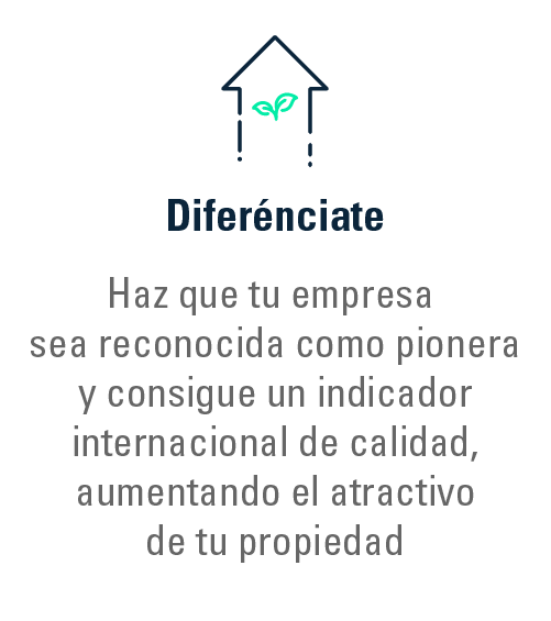 Diferenciación