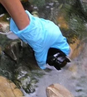 Hidrogeología y aguas contaminadas