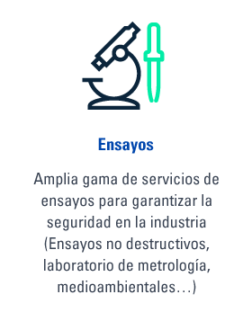 Ensayos seguridad