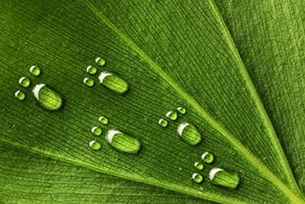 Sostenibilidad ambiental en TÜV SÜD