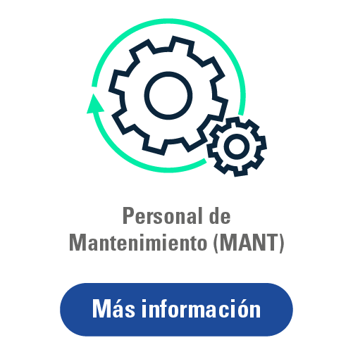 Personal y técnicos de mantenimiento