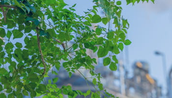 Control medioambiental content tile