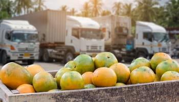 Inspección de transportes de alimentos