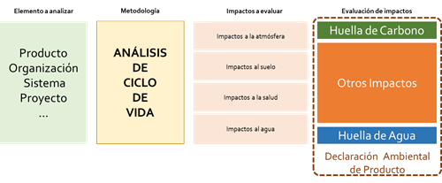 ciclo de vida