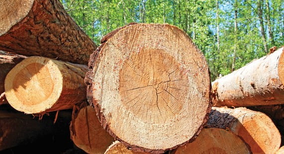 Certificazione FSC® Chain of Custody, Forest Stewardship Council (FSC)