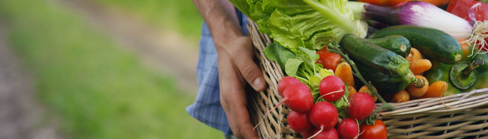 Chlorate and Perchlorate testing in fruits and vegetables