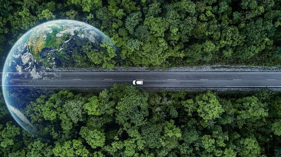 Image Banner for Pathways to Net Zero