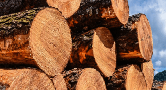 FSC COC Audit and Certification