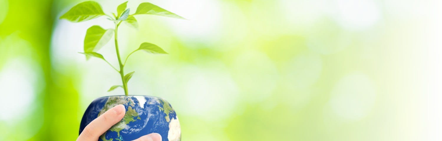 impact environnemental de l'électronique