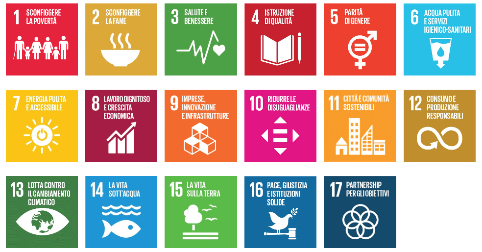 SDG goals