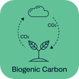 Icona carbonio biogenico
