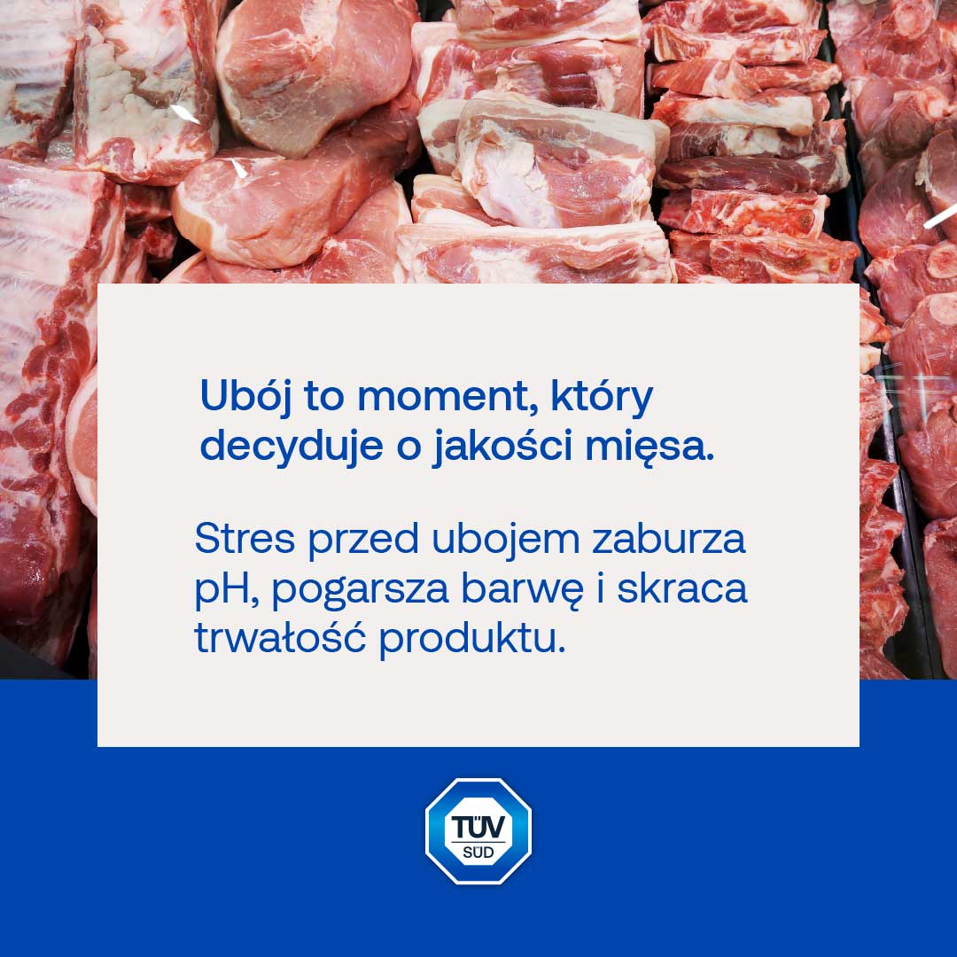 ubój