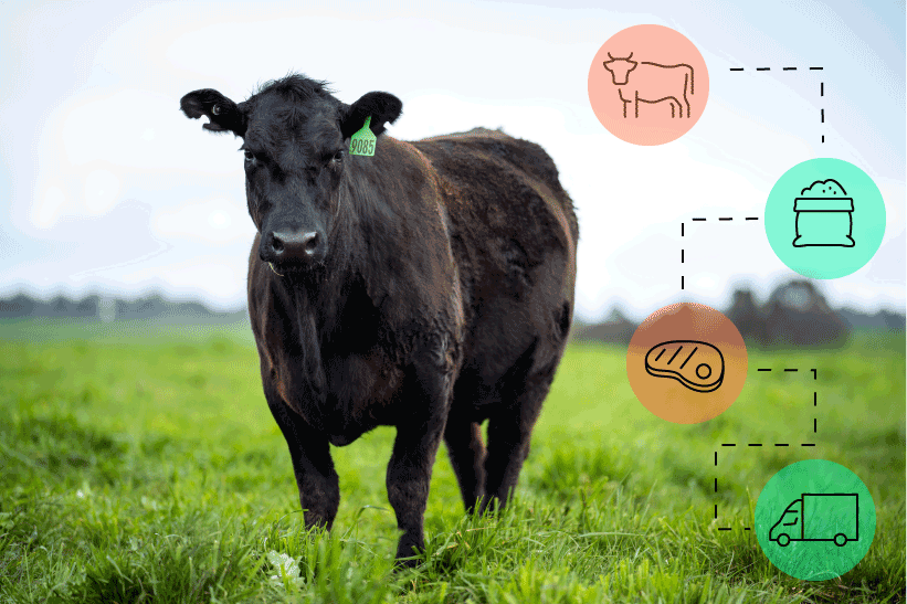 Quality Meat Program