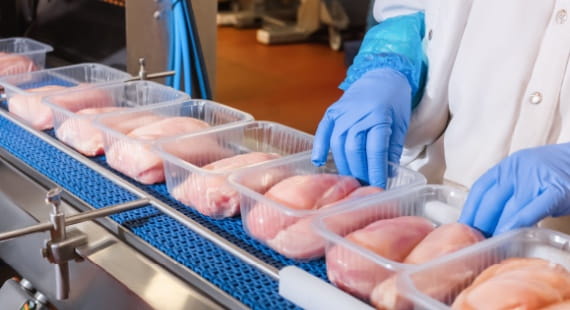 HACCP Concept and difference between food safety standards