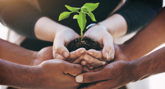 Green House Gases (GHG) Emission Verification and Validation