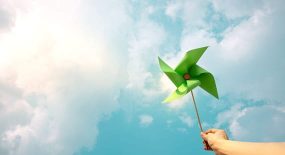 Green Revolution 2 0