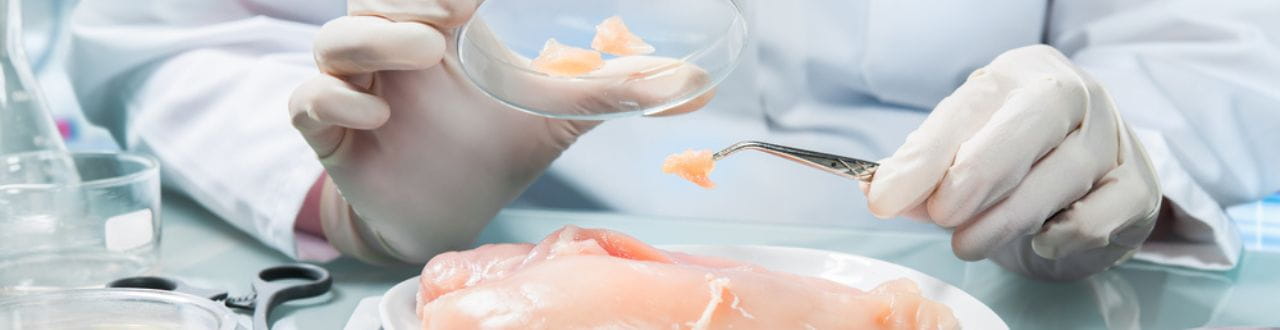 Food Testing Test Types of Food Testing | TÜV SÜD Vietnam