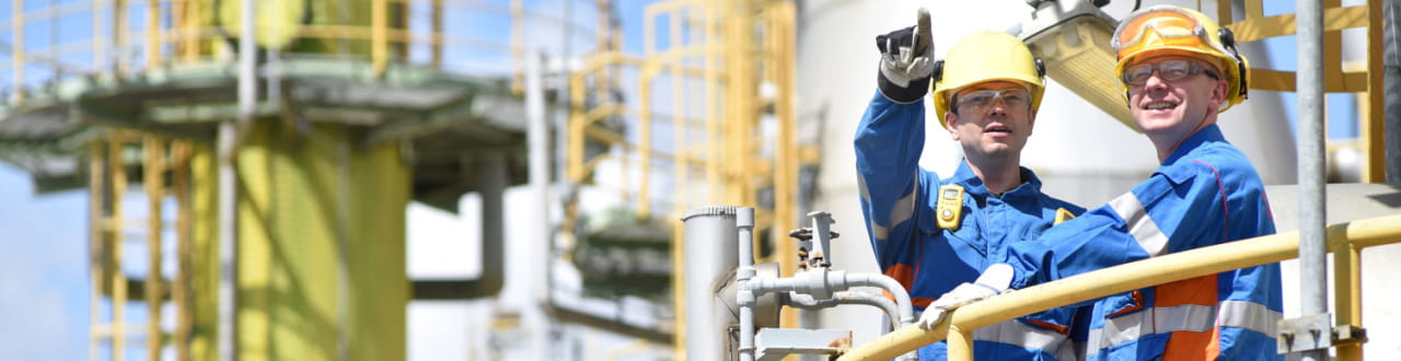 Optimising Plant Operation and Maintenance through Risk-Based ...