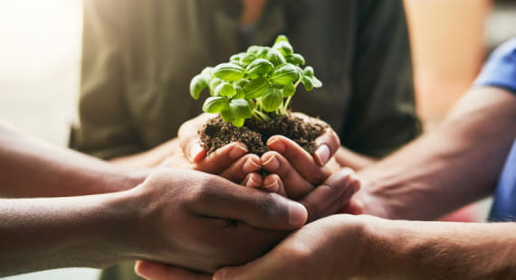 Báo cáo phát triển bền vững theo tiêu chuẩn GRI 2021