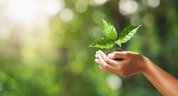 Insights into Environmental Labelling in the ASEAN Region