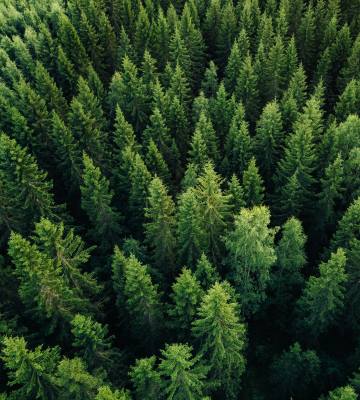 Corporate Sustainability