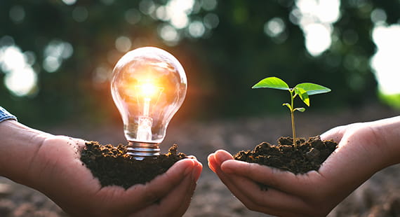 hands holding lightbulb and plant carbon footprint