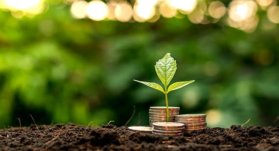 Why Should a Small Business do a Carbon Footprint?