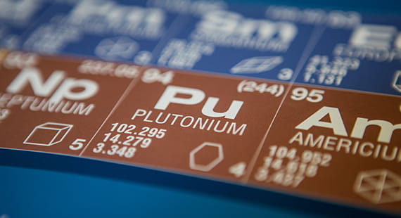 Plutonium Disposition