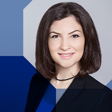 Nuclear Safety Expert and Project Manager