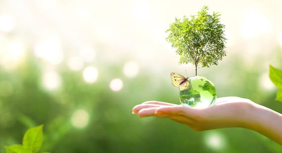 ISO 14001:2026: What has been changed and how to prepare