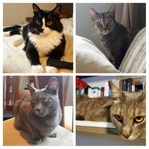 Margaux Castilho, Blue Castilho, Hadji Castilho, and Brigitte Castilho (aka The Four Musketeers)