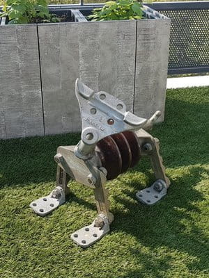 Ti-chien Rubin Dog