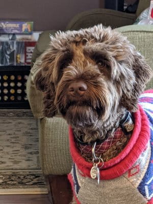 Trooper J. MacDonald Dog