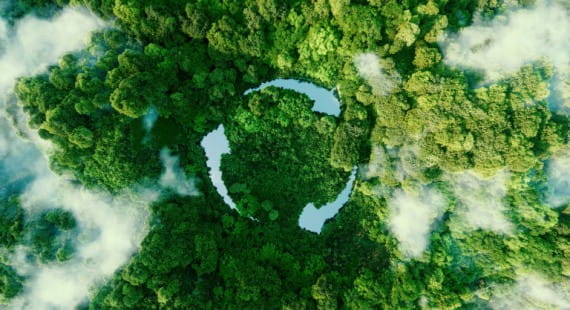 Sustainability goes beyond protecting the environment