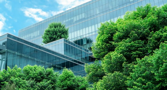 Sustainability Without the Sticker Shock