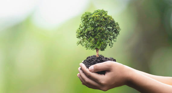 Sustainable Li-Ion Battery Production​
