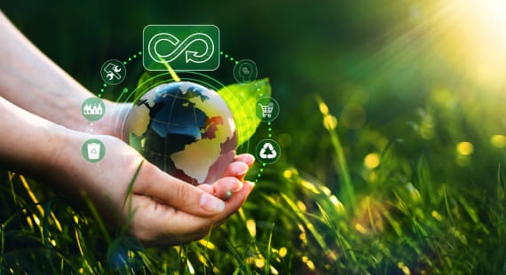 Assessing Risks and Monitoring Performance for Sustainable Supply Chains