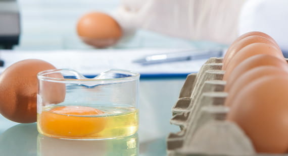Safe Quality Food (SQF) Certification