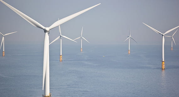 The driving force of future offshore wind