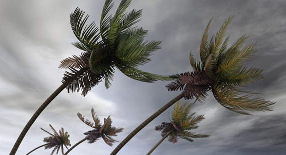Storm & Hurricane Risk Mitigation Strategies