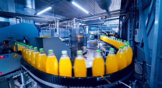 Food and Beverage Risk Engineering