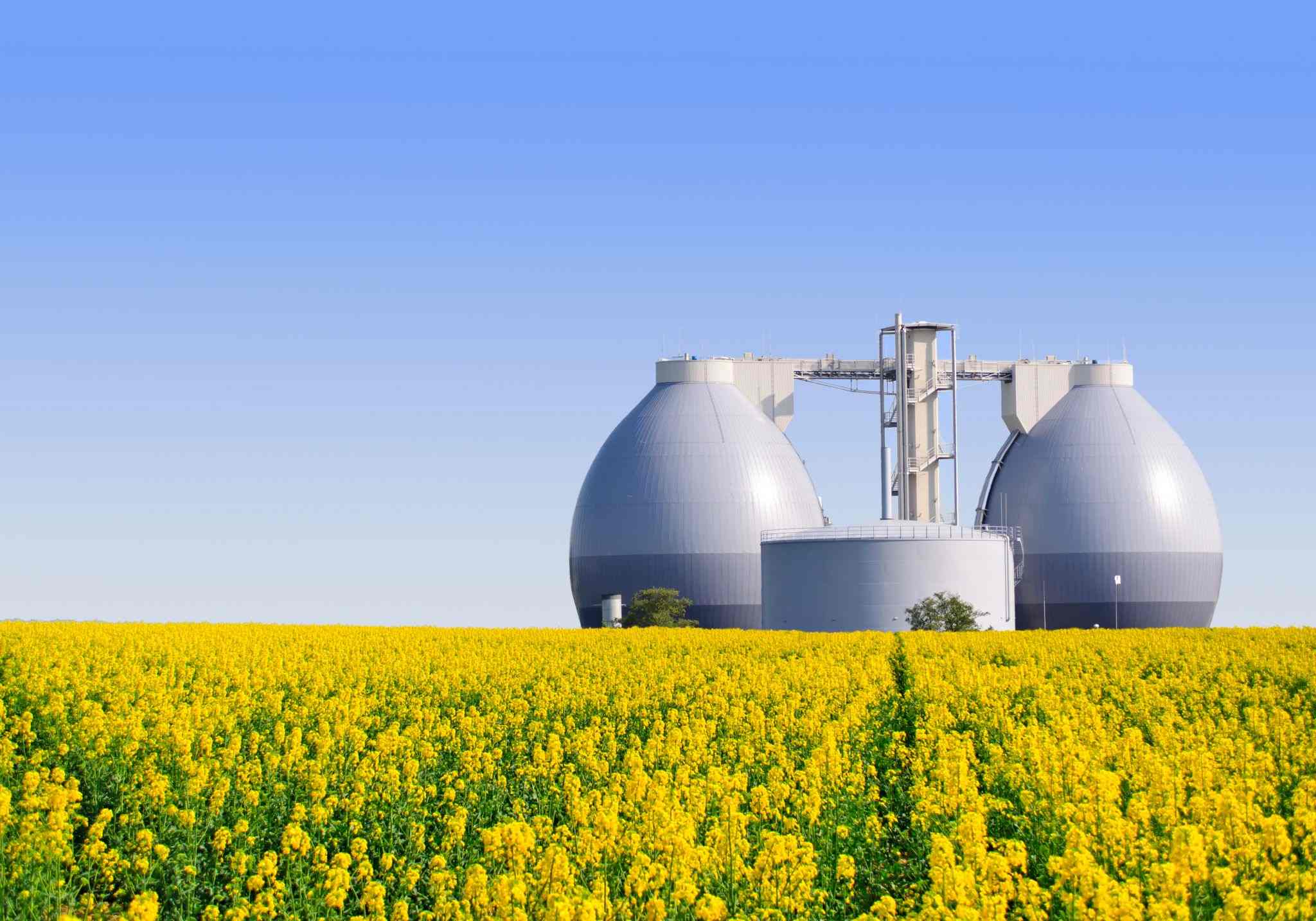 Low Carbon Fuel Standard