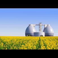 Low Carbon Fuel Standard