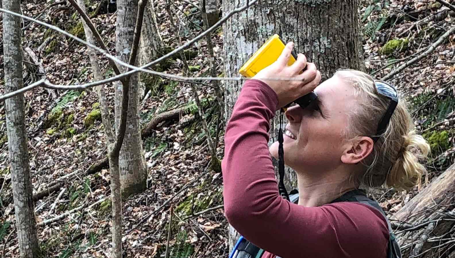 Forest Inventory and Analysis